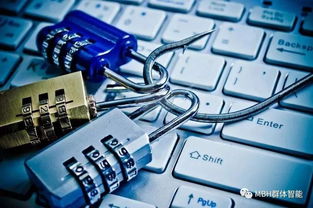 歐盟數(shù)據(jù)治理新走向 解讀《非個人數(shù)據(jù)自由流動框架條例》下的數(shù)據(jù)處理與存儲支持服務